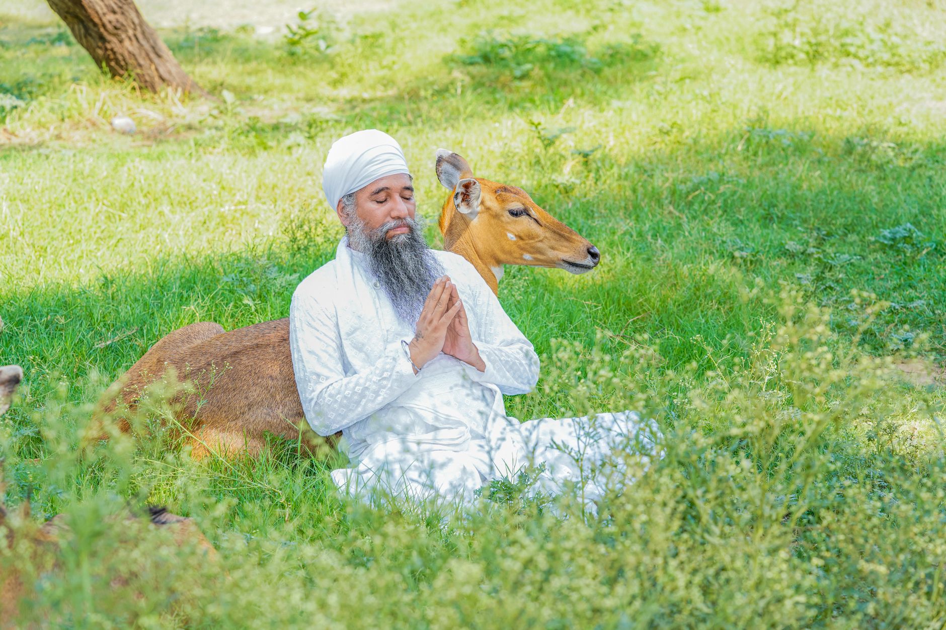 sidhumoosewalatribute