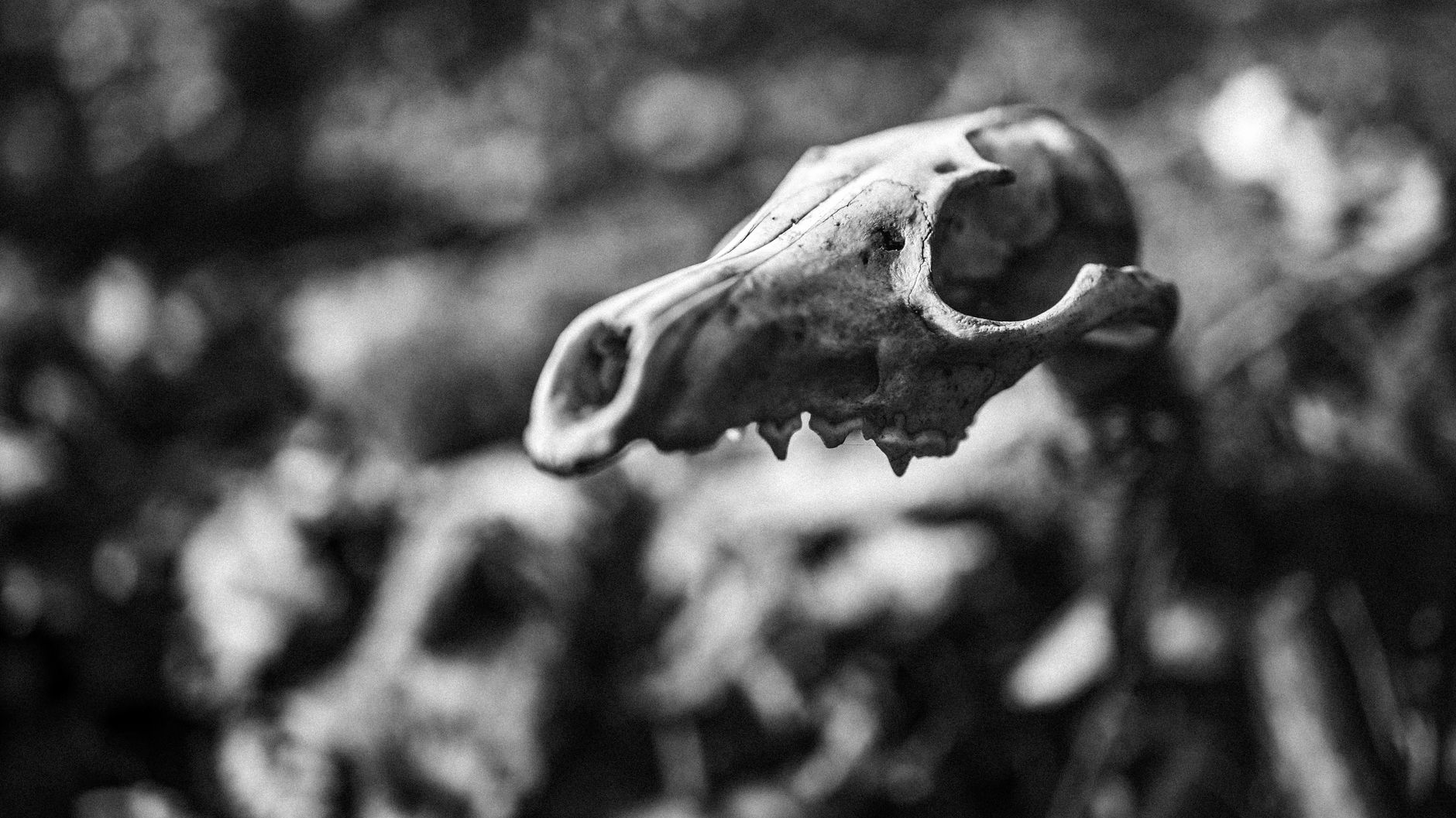 time of death