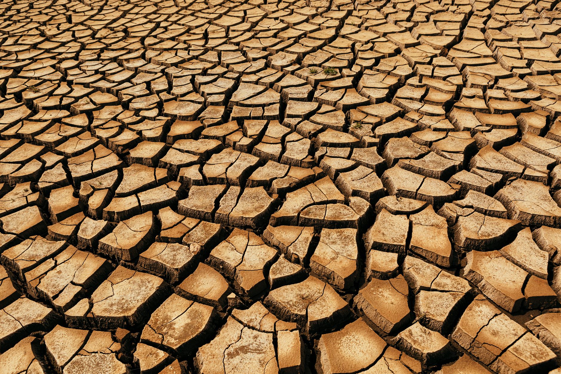 El Nino effects