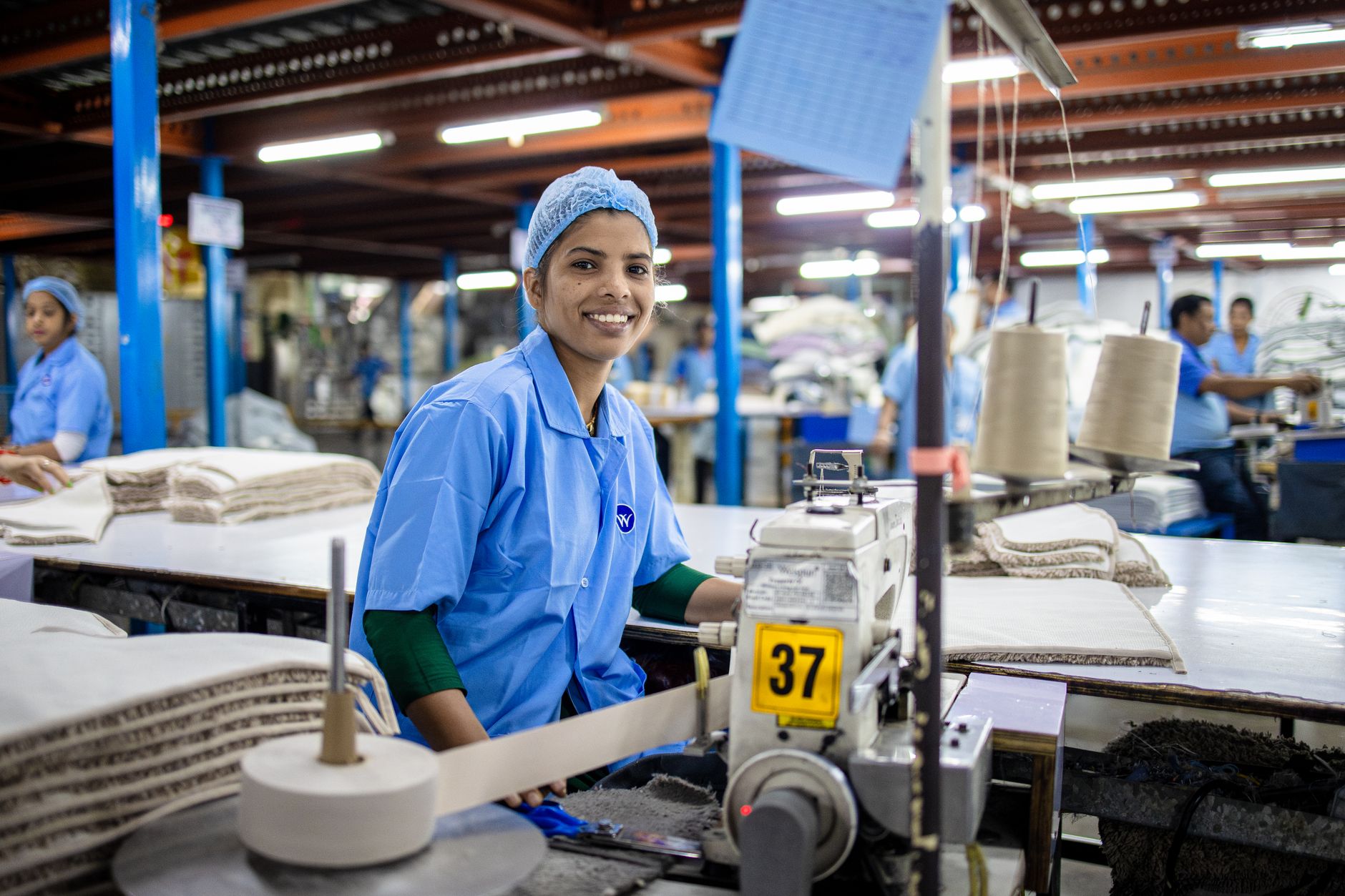 Indian youth employment