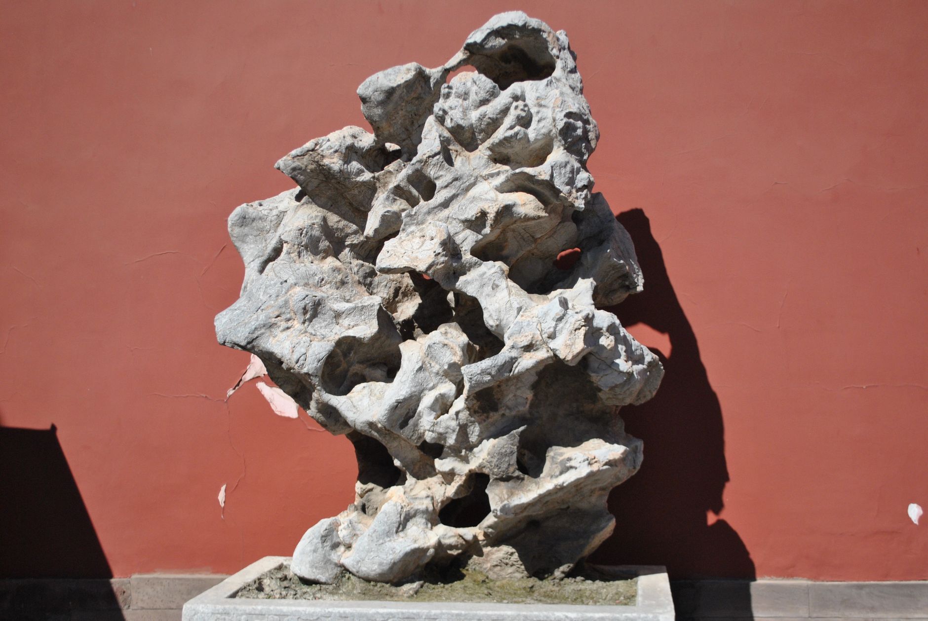 Scholar Rock Holding insights