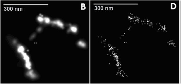 spectral complexity analysis